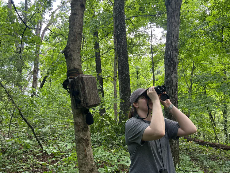 calibrationsurvey_warblers.jpg