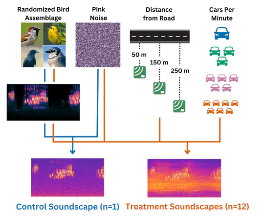 Acoustic Indices in Developed Areas