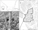 Single-Camera Trap Survey Designs Miss Detections: Impacts on Estimates of Occupancy and Community Metrics