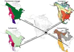 What drives spatially varying ecological relationships in a wide-ranging species?
