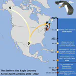 The Steller's Sea-Eagle in North America: An economic assessment of birdwatchers travelling to see a vagrant raptor